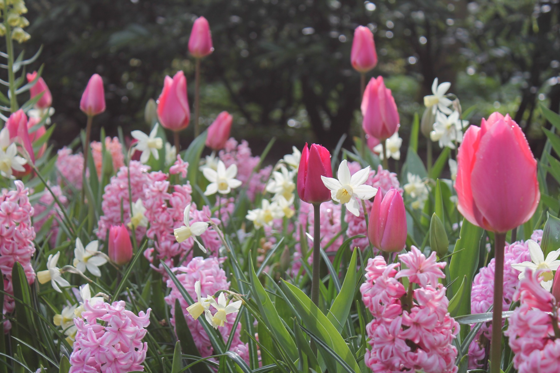 FloraNest Soldes Magasin -FloraNest Soldes Magasin MELANGE BALEARES